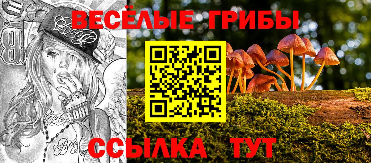 Псилоцибиновые грибы Magic Shrooms  Вход с VPN  Кизляр 